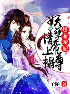 苏子落慕祁