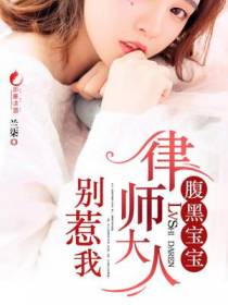 腹黑宝宝：律师大人别惹我