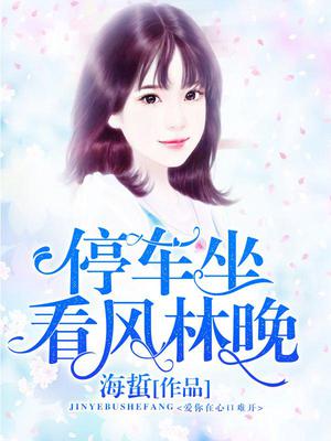 停车坐看风林晚
