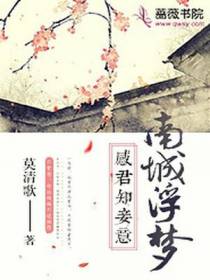 南城浮梦：感君知妾意