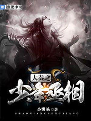 大秦之少年丞相