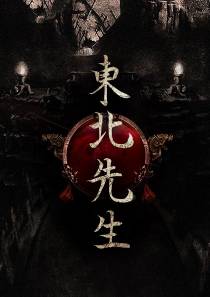 东北先生（违规下架）