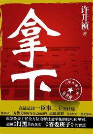 拿下(出版)