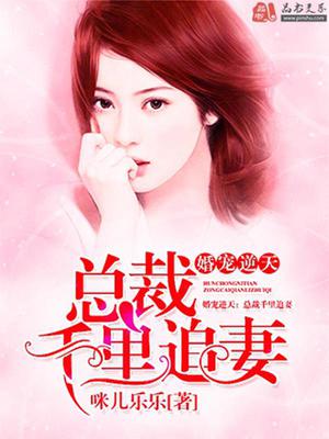 总裁穷追不舍
