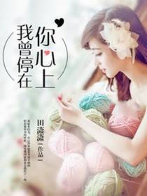 我曾停在你心上