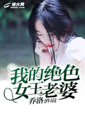 我的绝色女王老婆