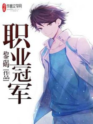 职业冠军