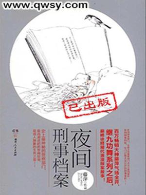 夜间刑事档案