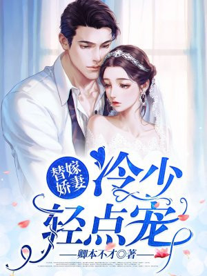 冷墨轩夏如沫