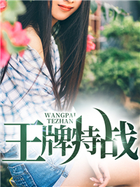 王牌特战叶新