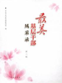 最美基层干部风采录、第二辑