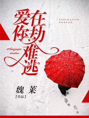 爱你，在劫难逃