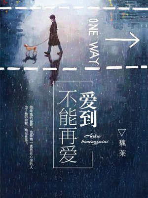 爱到不能再爱