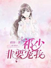 祁少非要宠我