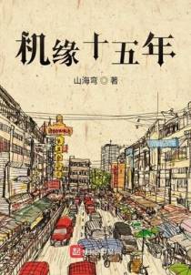 机缘十五年