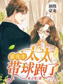顶级豪宠：霍先生，太太带球跑了
