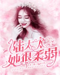 沈月光陆肖霆