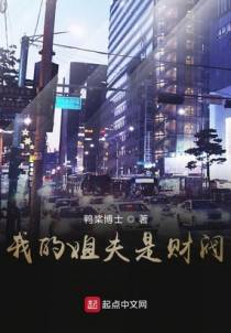 我的姐夫是财阀