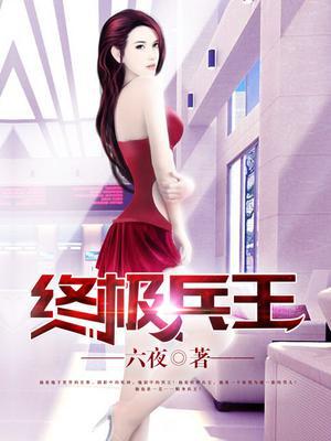 终极兵王-六夜