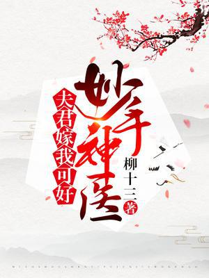 妙手神医：夫君嫁我可好