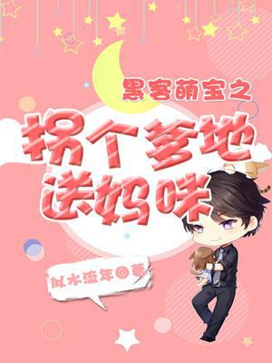 黑客萌宝之拐个爹地送妈咪
