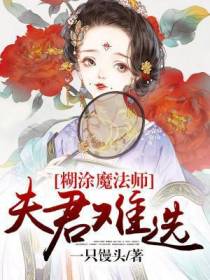 糊涂魔法师：夫君难选