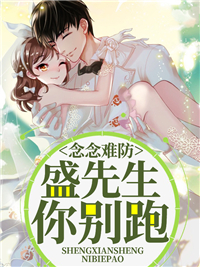 苏念盛言恪