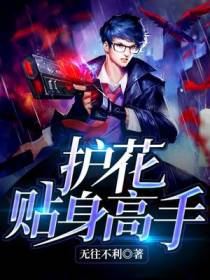 护花贴身高手