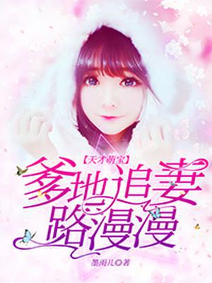 天才萌宝：爹地追妻路漫漫