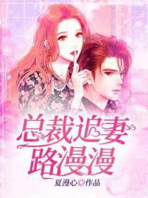 总裁追妻路漫漫