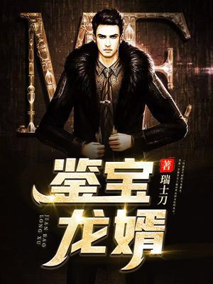 鉴宝龙婿