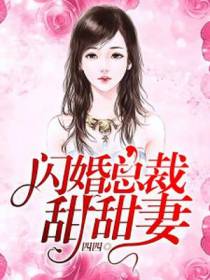 闪婚总裁甜甜妻