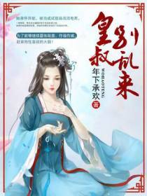 皇叔别乱来叶洛