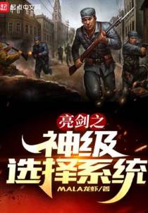 亮剑之神级选择系统