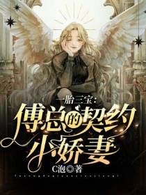 一胎三宝：傅总的契约小娇妻