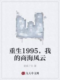 重生1995，我的商海风云