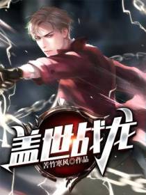 盖世战龙