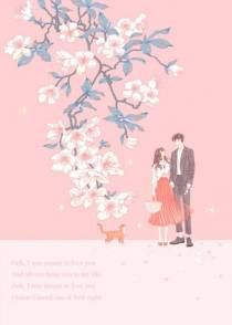 都市：我的老婆是特工