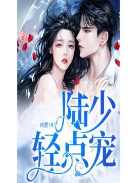陆少，轻点宠