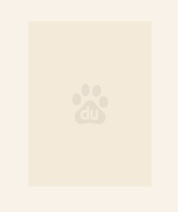 偷心娇妻：腹黑总裁的猎妻计划