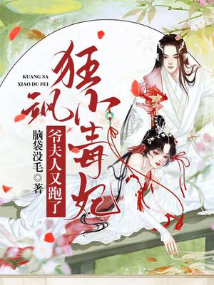 狂飒小毒妃：爷，夫人又跑了