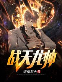 战天龙帅