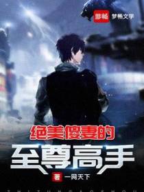 绝美傻妻的至尊高手