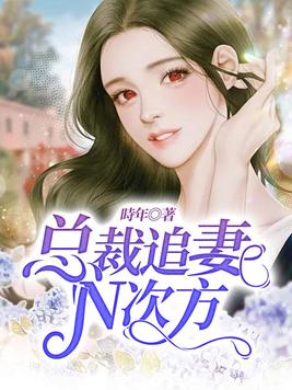总裁追妻N次方