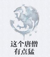 这个唐僧有点猛