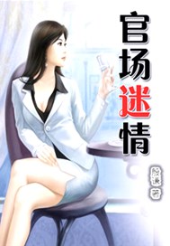 官场迷情