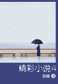 精彩小说4