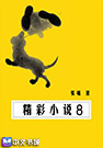 精彩小说8