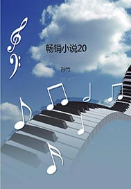 畅销小说20