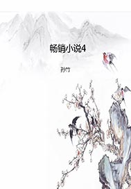 畅销图书4